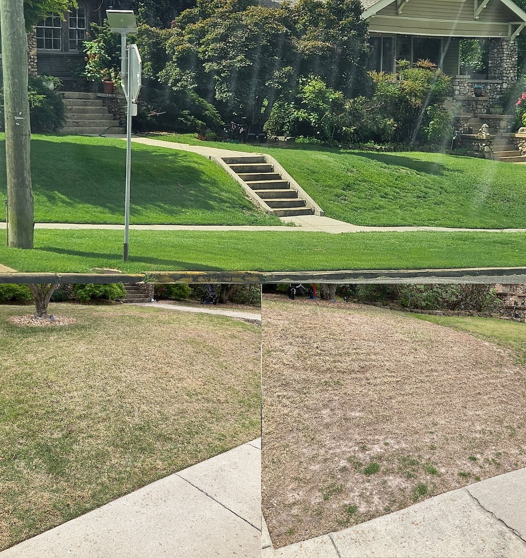 Comprehensive Lawn Treatment & Chinch Bug Control in Birmingham, AL Thumbnail